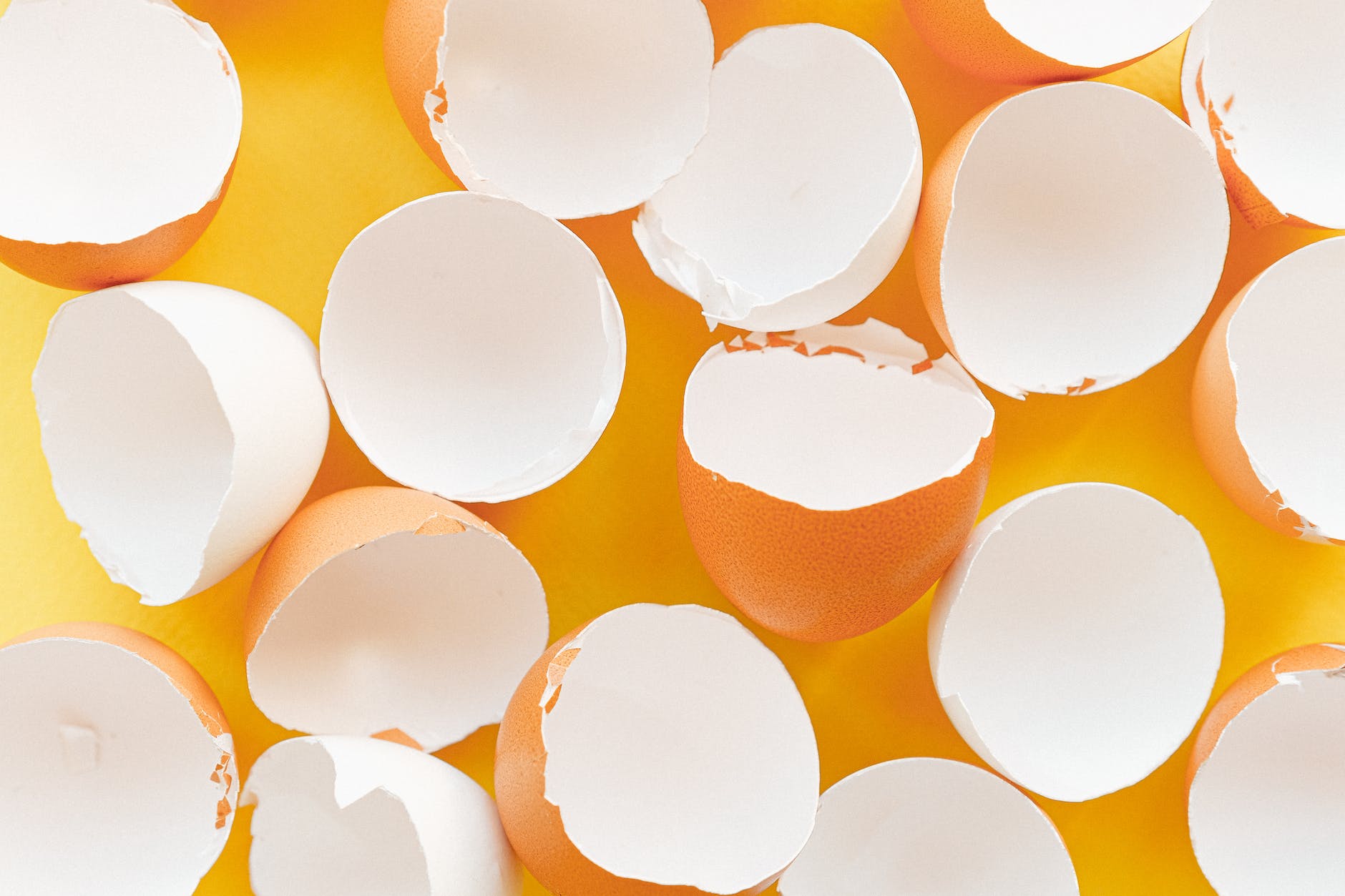 A bunch of empty egg shells broken in half